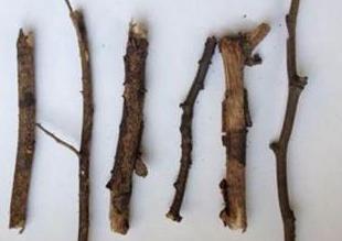 太坑了！花18.5万元买口罩，寄来的全是树枝！谨防这类“套路”