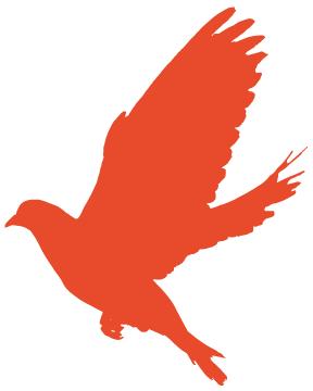 互助社诈骗案,关于互助县电信诈骗案