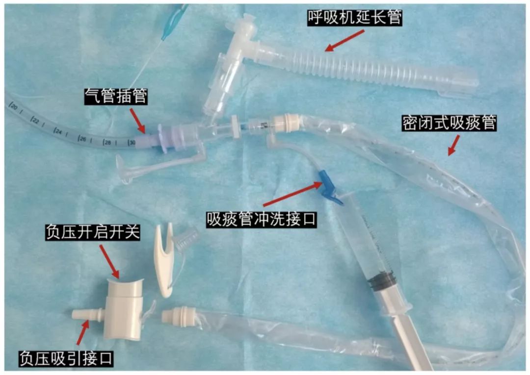 新型冠状病毒感染诊治指南,新型冠状病毒肺炎危重治疗原则