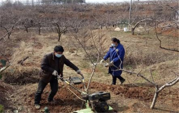 春回大地农村春耕热火朝天,春回大地忙耕种喜迎金秋粮归仓
