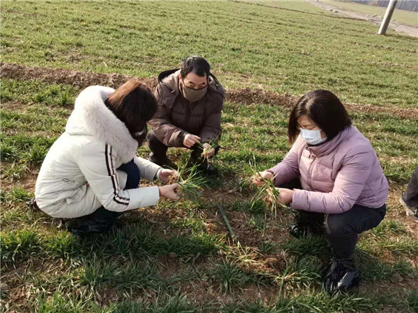 春回大地农村春耕热火朝天,春回大地忙耕种喜迎金秋粮归仓