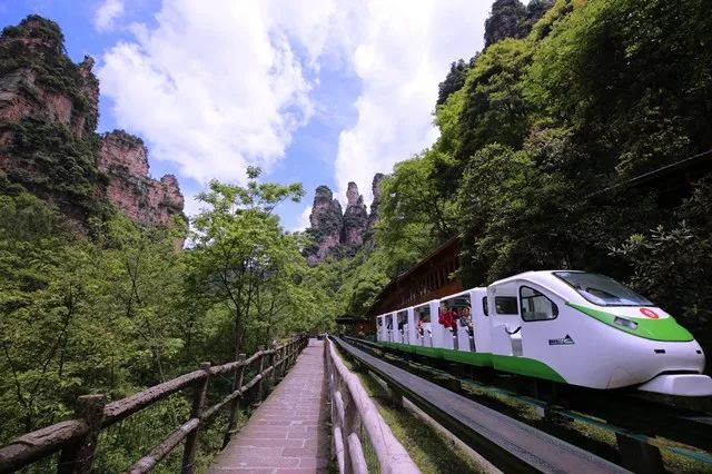 湖南对医护人员免费开放的景点,湖南医务人员免费旅游景点大全
