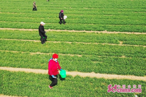 山东邹城同城配送,邹城线上配送