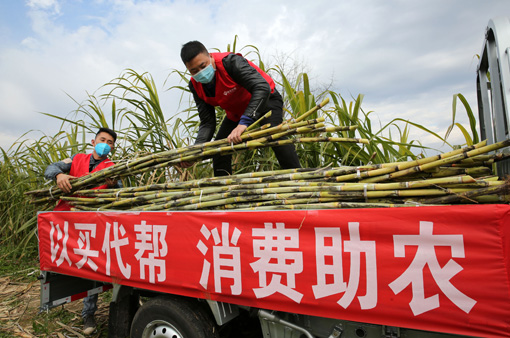 “以买代帮”！东兴区借助电商战“疫”扶贫