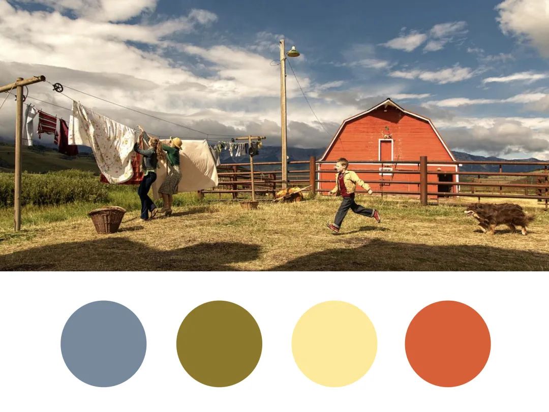 Wes出预告，蜷川实花上新剧，色彩控们又该尖叫了