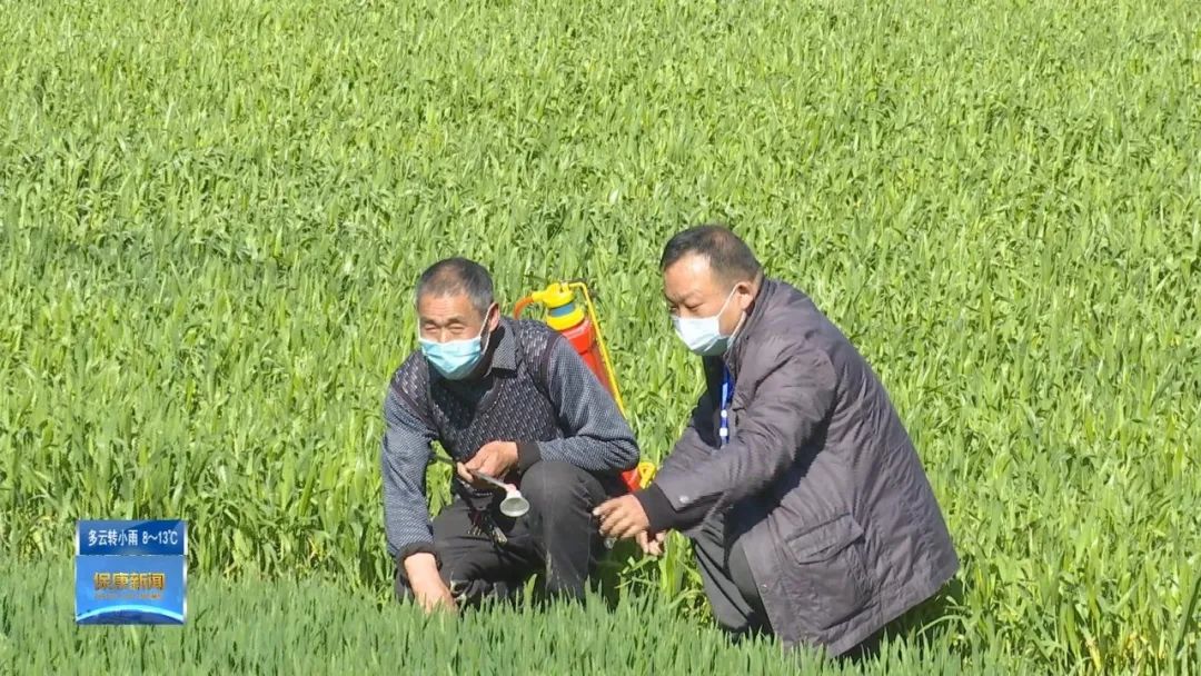 农资配送春耕两不误,农忙疫情防控两不误