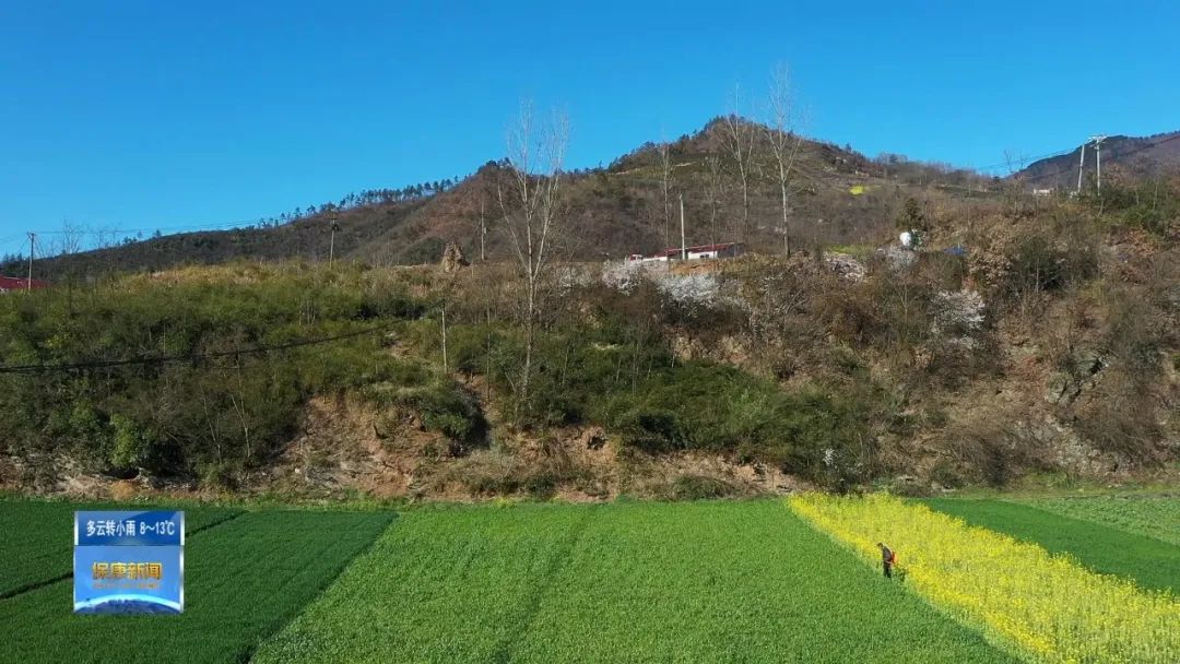 农资配送春耕两不误,农忙疫情防控两不误