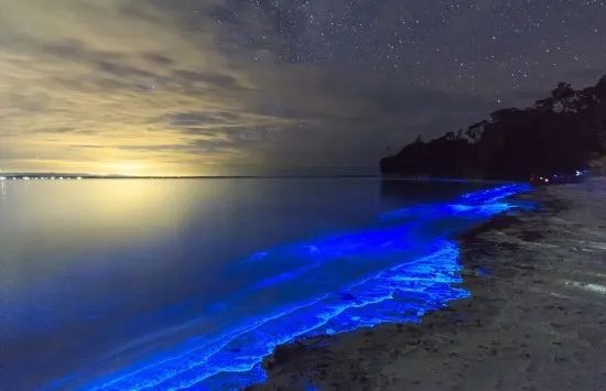 南极出现西瓜雪这是什么,南极出现西瓜雪是什么原因引起的