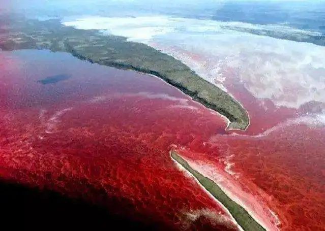 南极出现西瓜雪这是什么,南极出现西瓜雪是什么原因引起的