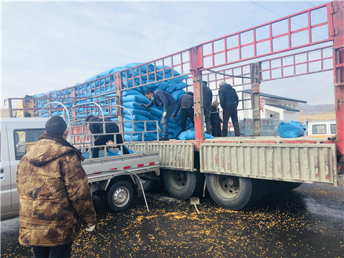 若尔盖必带物资,若尔盖县代办资质