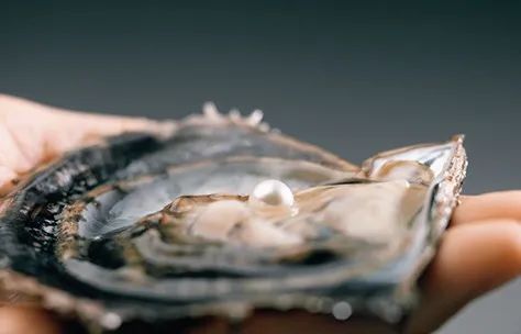 这次COMMEdesGARÇONS的珍珠项链，你会砸下重金吗？