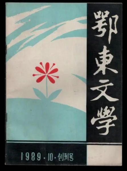 阎志在三里畈捐了什么,湖北首富阎志的事迹