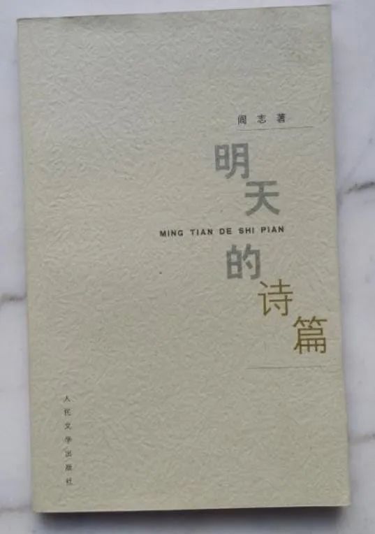 阎志在三里畈捐了什么,湖北首富阎志的事迹