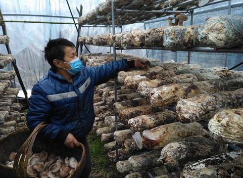 人勤春来早返岗复工忙,人勤春早春耕备耕