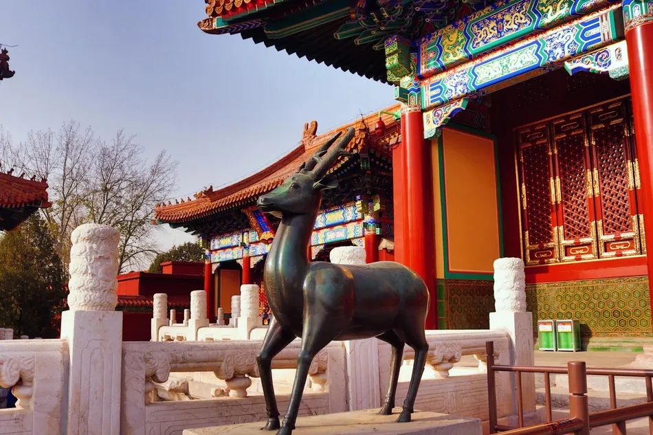 等疫情结束了欢迎你来喀什,等疫情过后欢迎您的到来