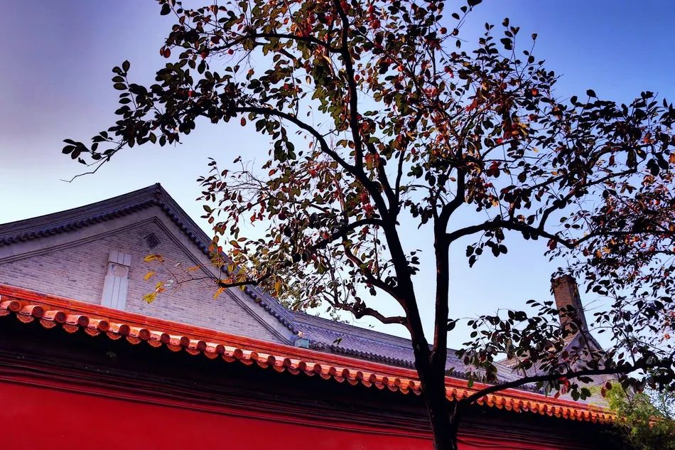 等疫情结束了欢迎你来喀什,等疫情过后欢迎您的到来