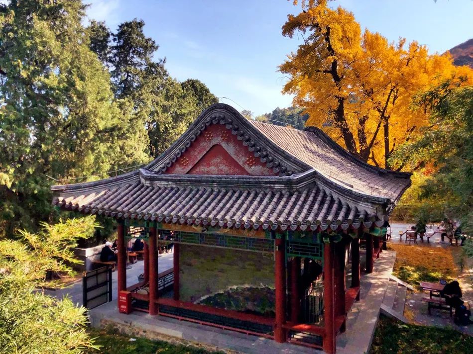 等疫情结束了欢迎你来喀什,等疫情过后欢迎您的到来