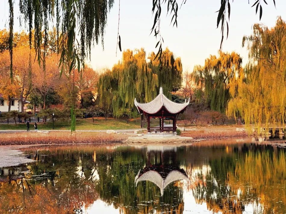 等疫情结束了欢迎你来喀什,等疫情过后欢迎您的到来