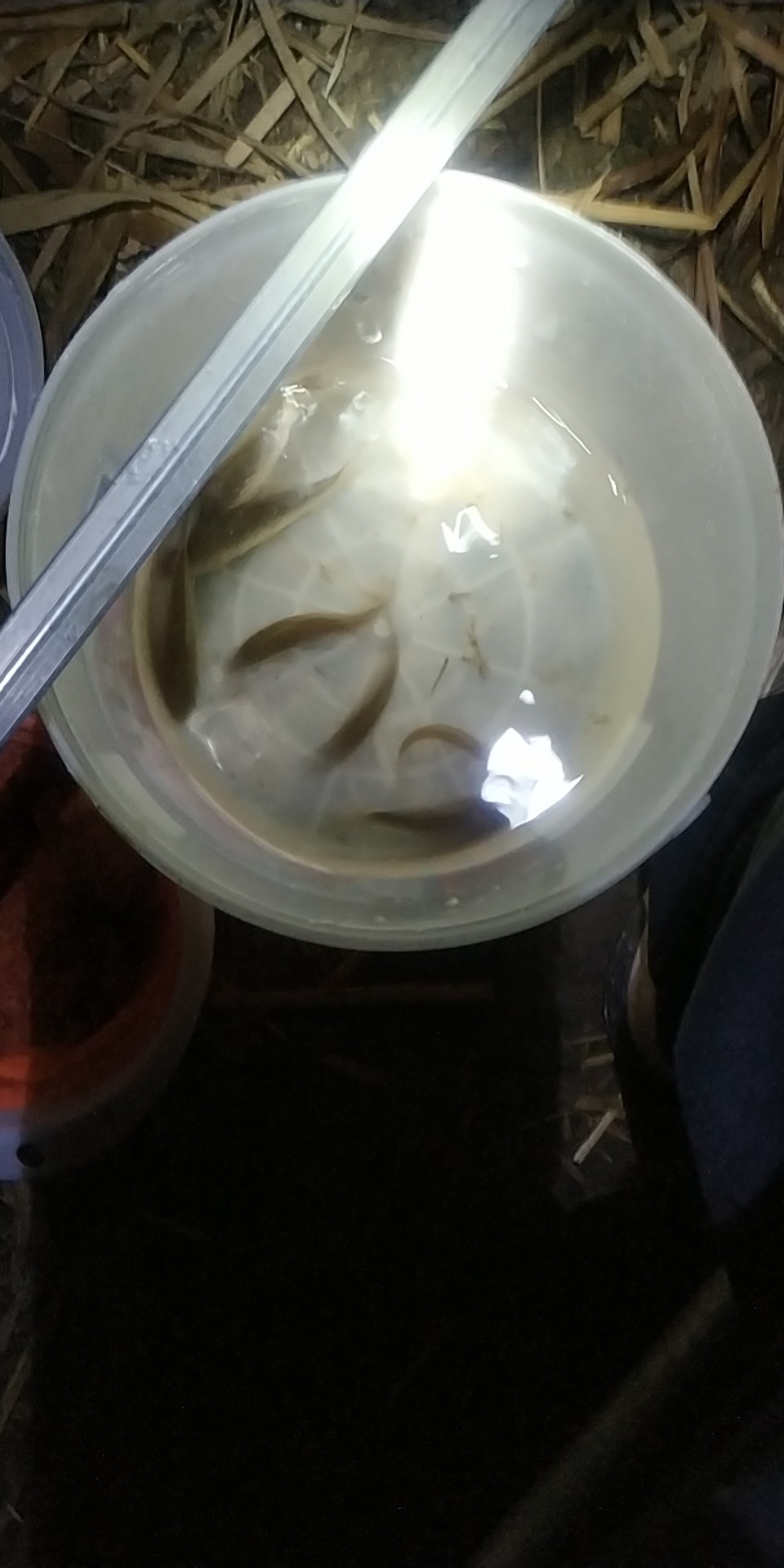 女神节最强防护挑战赛,女神节之战精彩片段