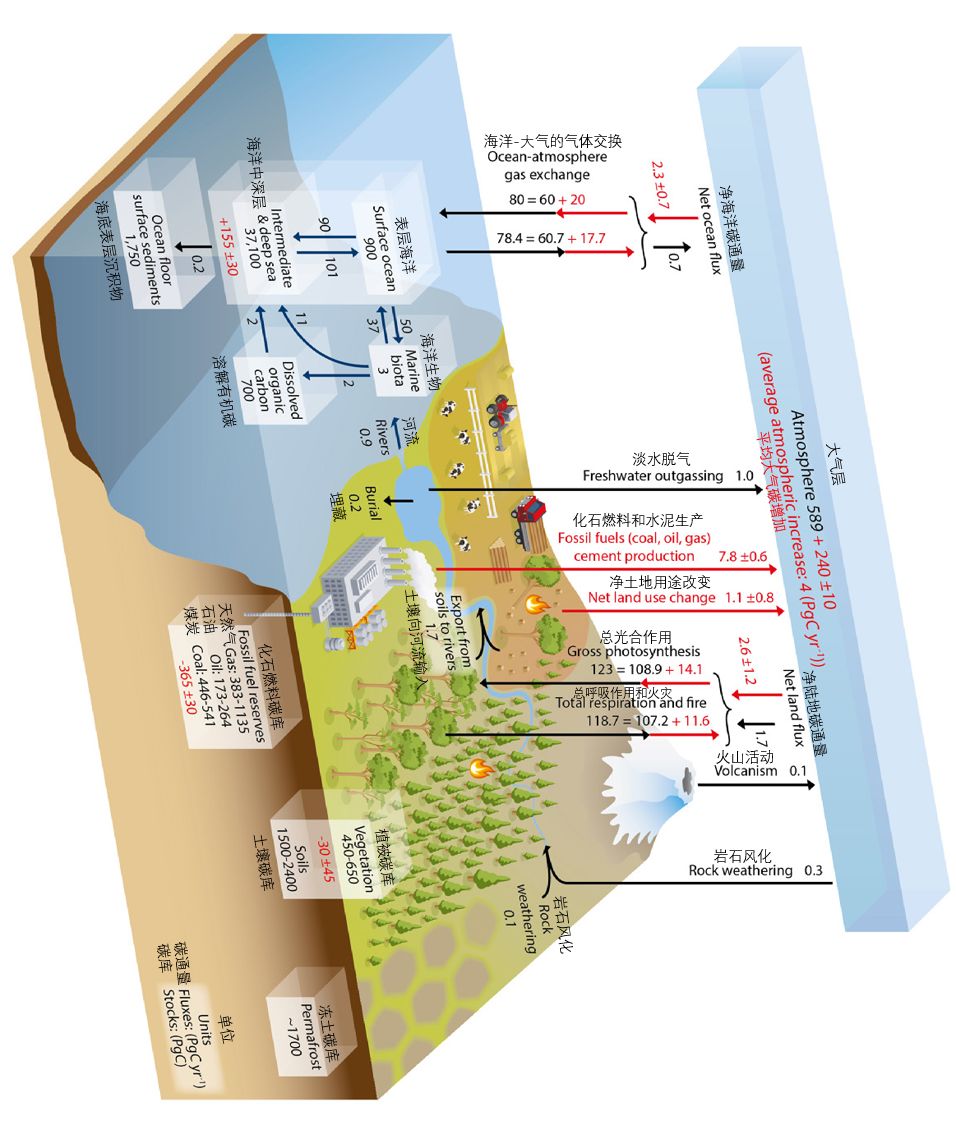 全球变暖种树有用吗,种树可以阻止全球变暖吗