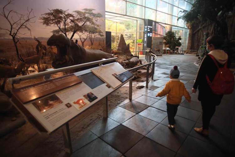 上海科技馆开放时间最新通知,上海科技馆今天对外开放吗