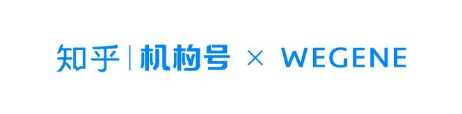 荒岛上只吃椰子可以生存吗,在椰子岛上生存
