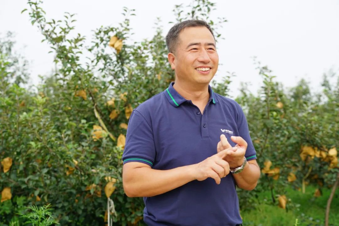 农资行业疫情防控存在问题,疫情下的新特肥料有哪些