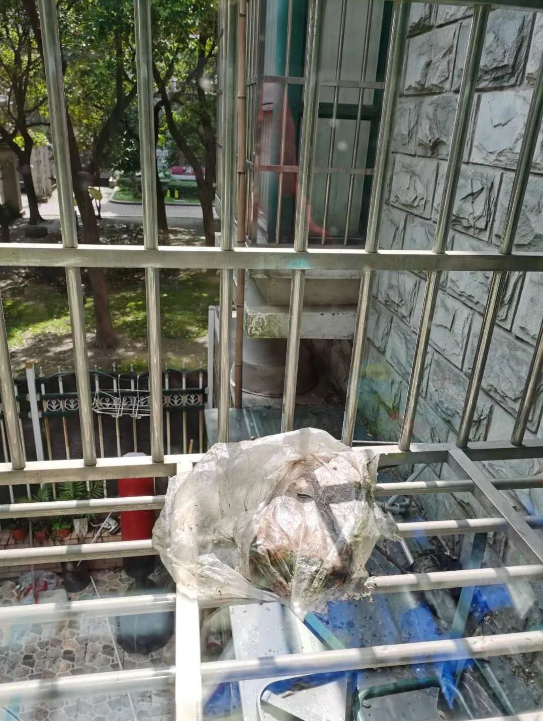 一声巨响绍兴头条,杭州发生巨响最新消息