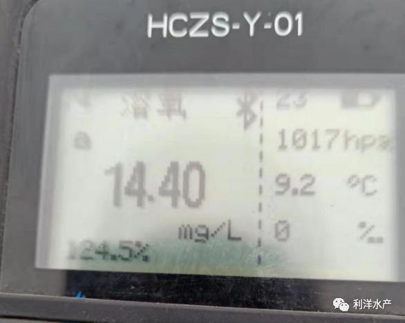 春季海参网箱放多大苗,网箱海参苗化皮的原因