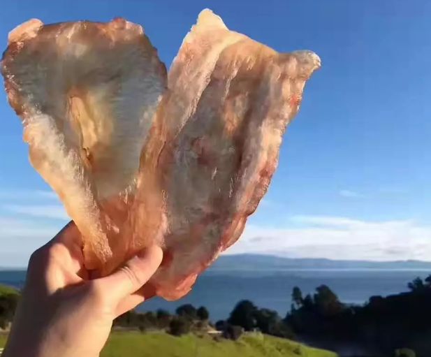 不整容不医美人真的会变吗,不整容的自然美人才是真正的美女