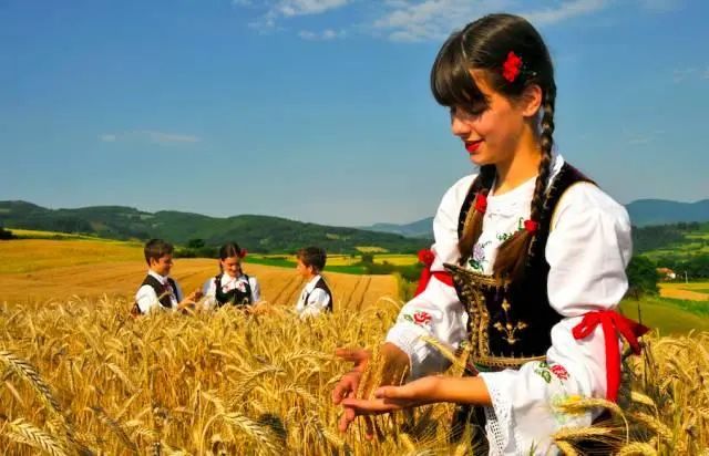 揭秘真实的塞尔维亚,塞尔维亚是个怎样的国家