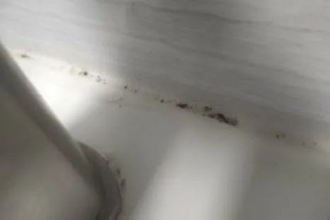 回南天霉菌感染,回南天霉菌怎么消