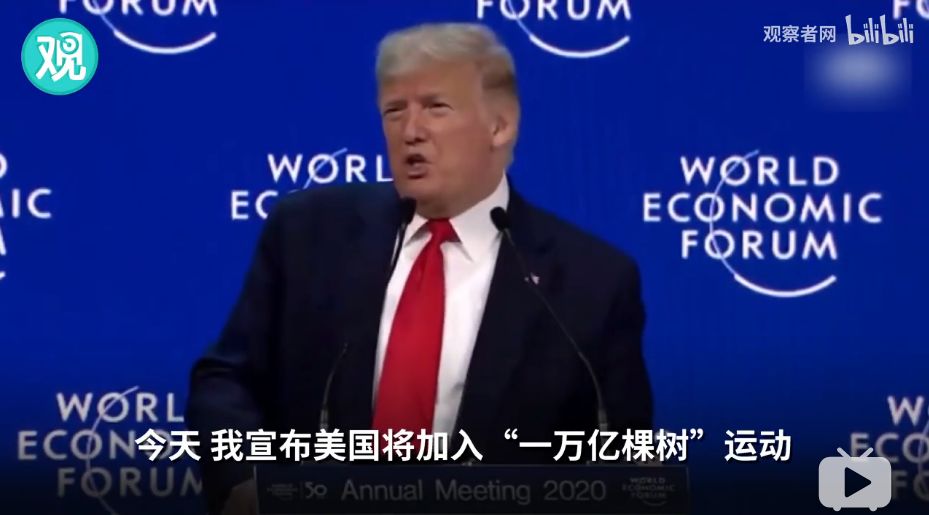 全球变暖种树有用吗,种树可以阻止全球变暖吗