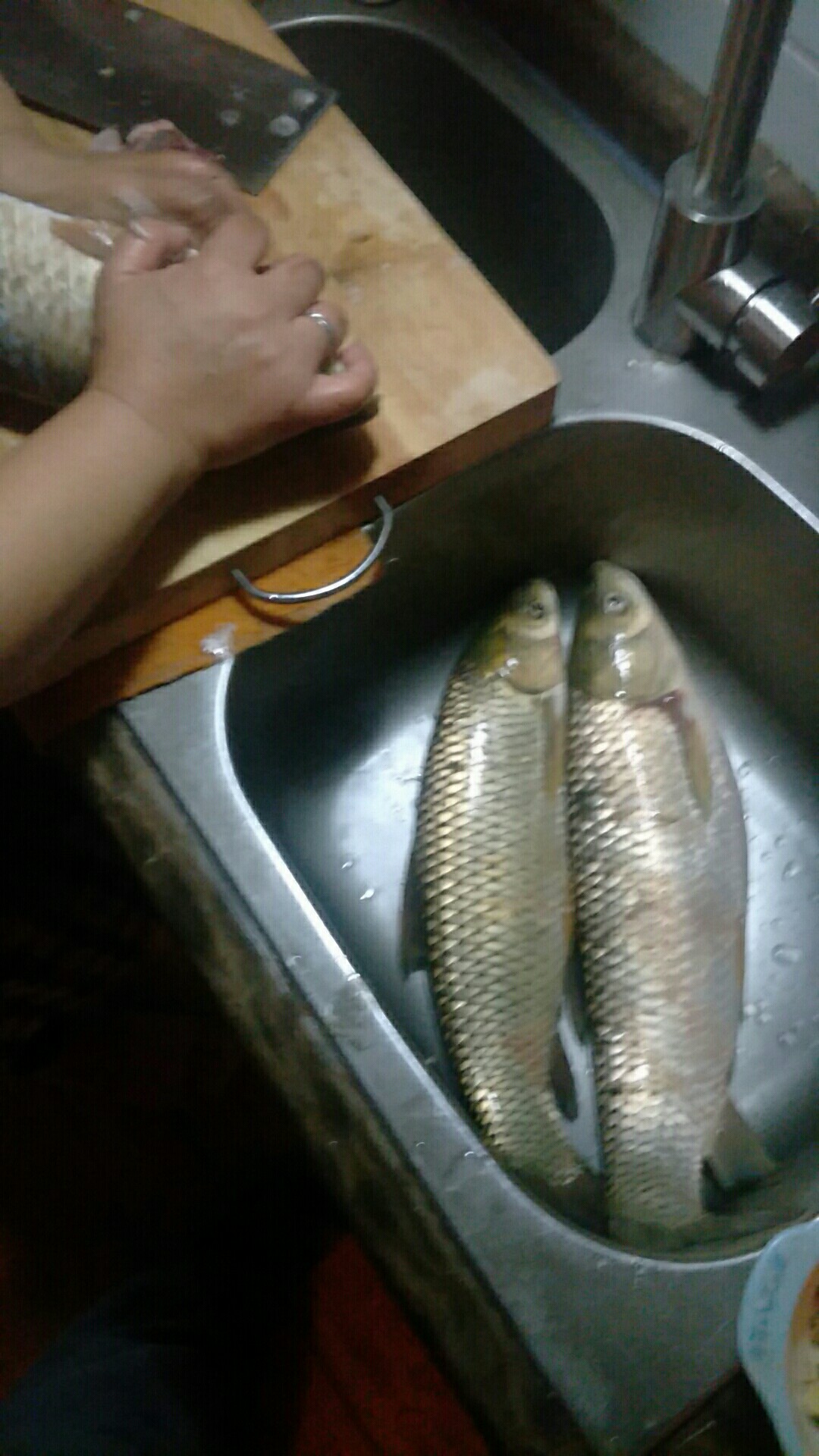 鲫鱼窝料最实用的一款,鲫鱼窝料自制配方全套卖