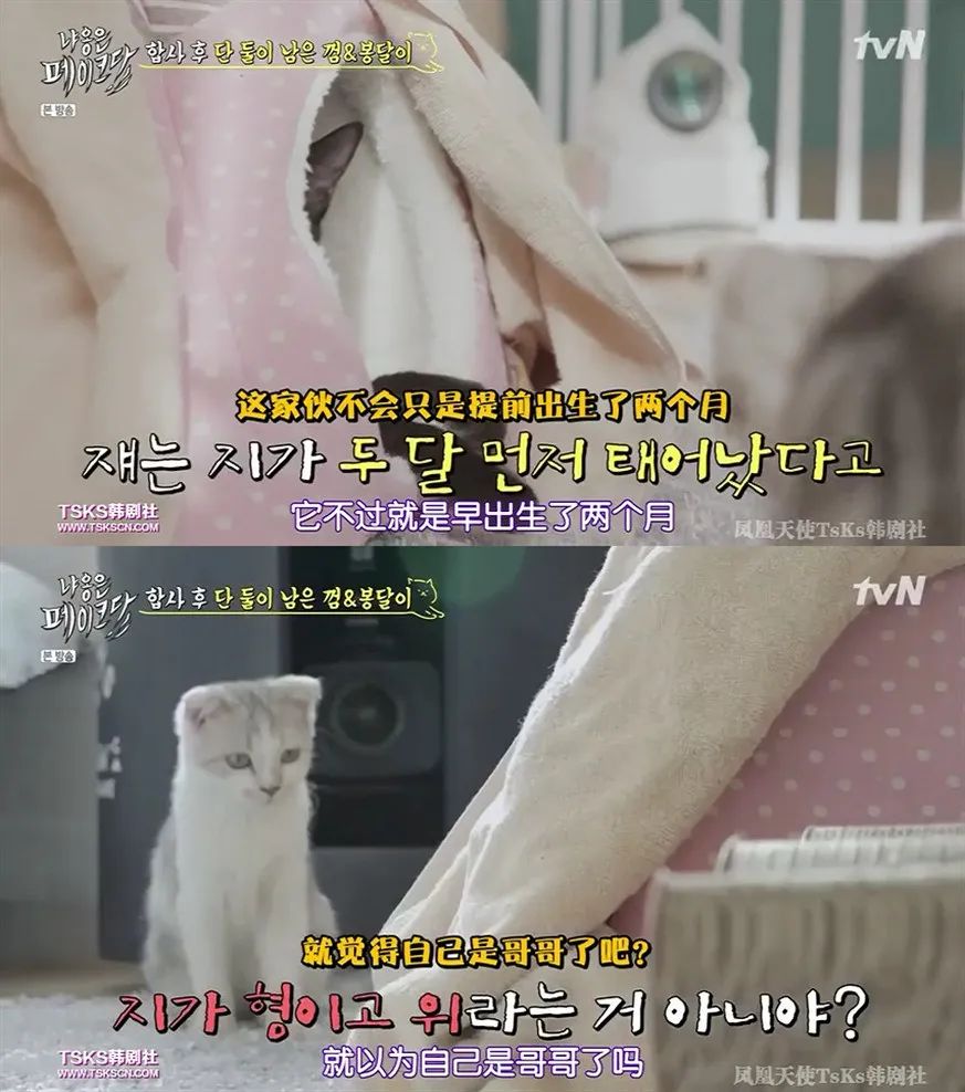 你喜欢的是他的容颜还是灵魂,你是爱她的皮囊还是灵魂