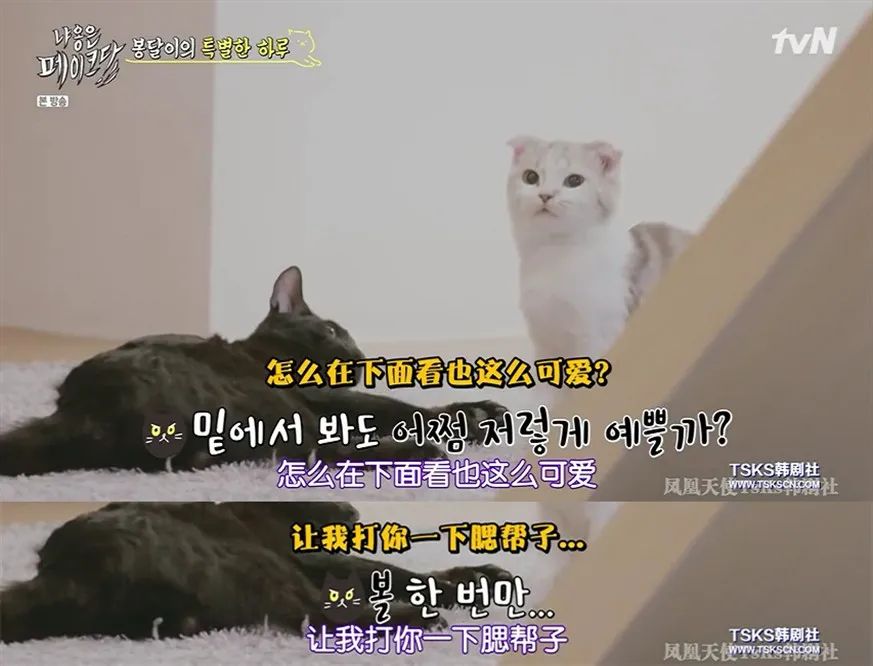 你喜欢的是他的容颜还是灵魂,你是爱她的皮囊还是灵魂