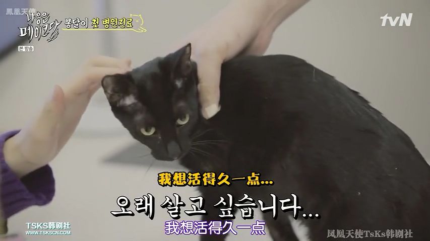 你喜欢的是他的容颜还是灵魂,你是爱她的皮囊还是灵魂