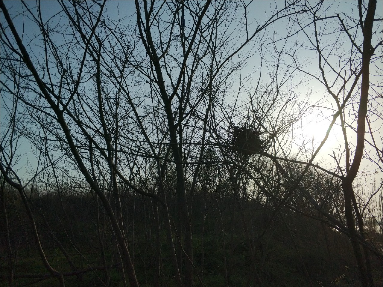 阳春三月秋高气爽,阳春三月太阳暖洋洋的