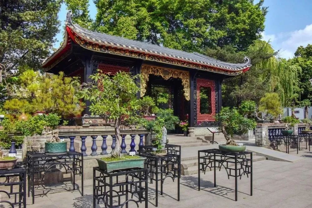 佛山黄岐文体中心最新进展,佛山最新景区活动