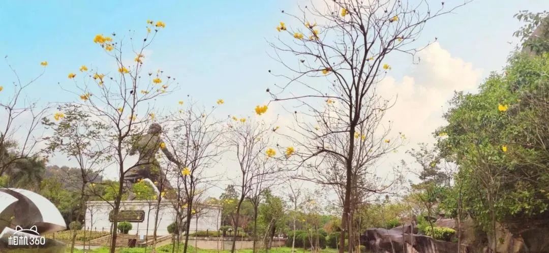 佛山黄岐文体中心最新进展,佛山最新景区活动