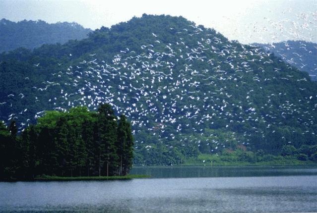 佛山黄岐文体中心最新进展,佛山最新景区活动