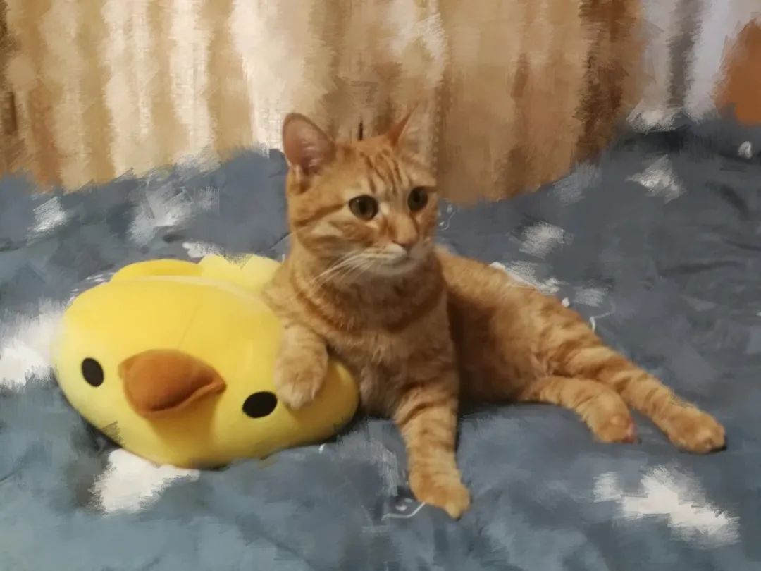 终于，我们也要出卖私生活了