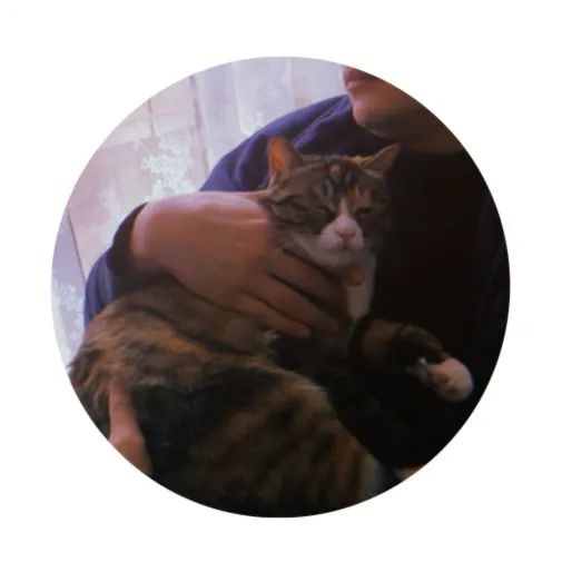 终于，我们也要出卖私生活了