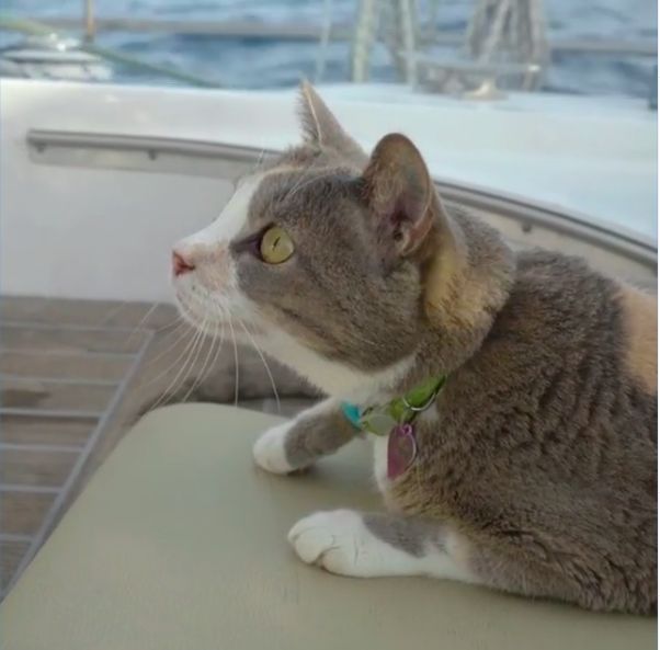 全国头部网红大盘点,世界各地旅游的网红