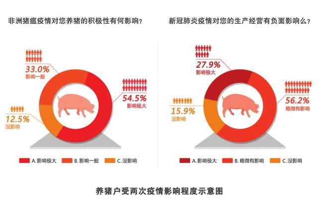 生猪养殖市场前景如何,生猪多少钱一斤可以赚钱