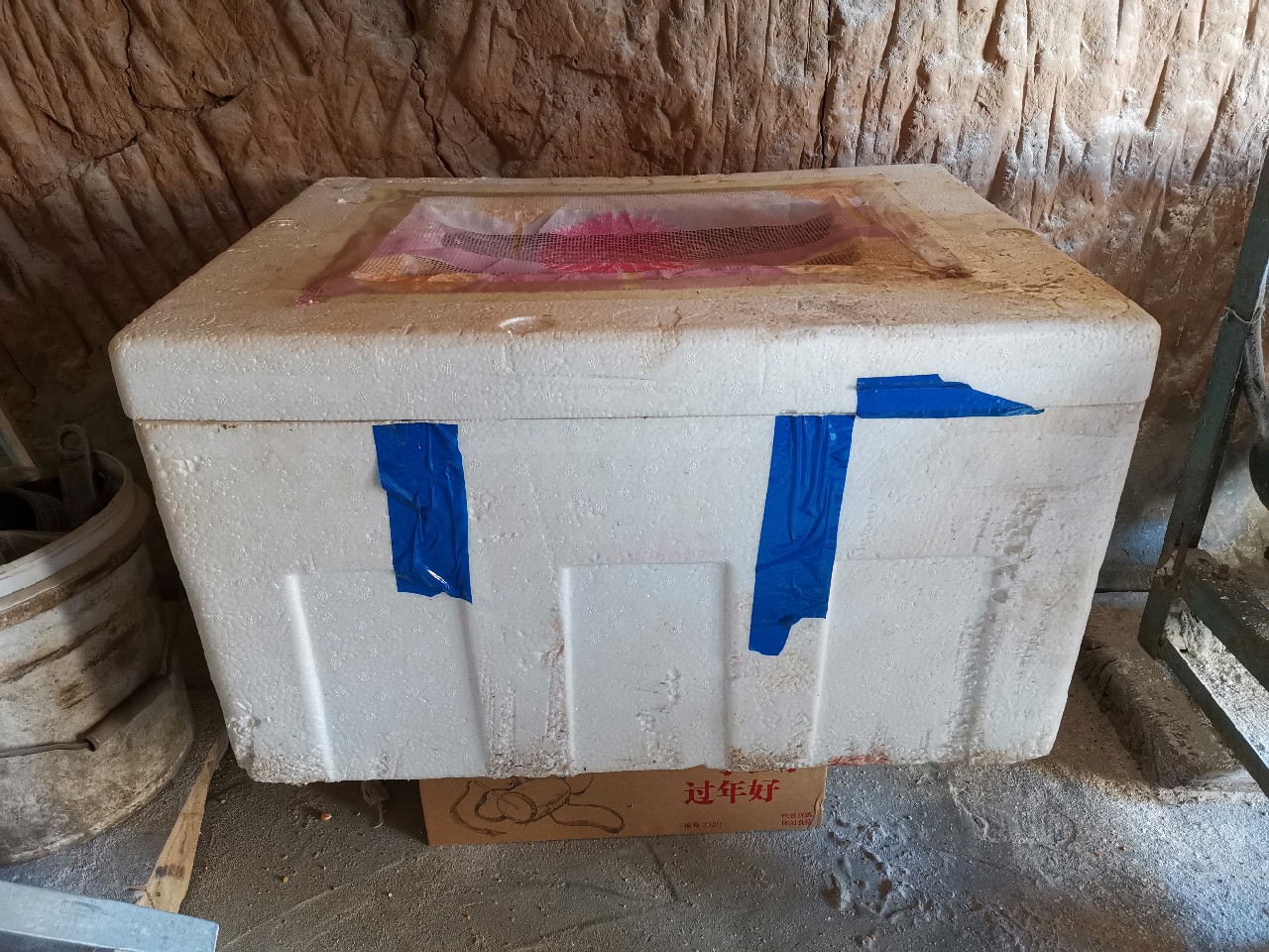 等待春暖鱼开口，先给蚯蚓安个家