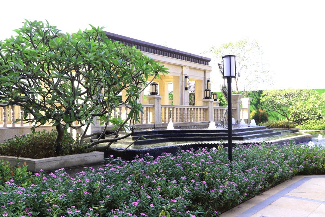 什么是向往什么是生活,什么是真正的向往生活