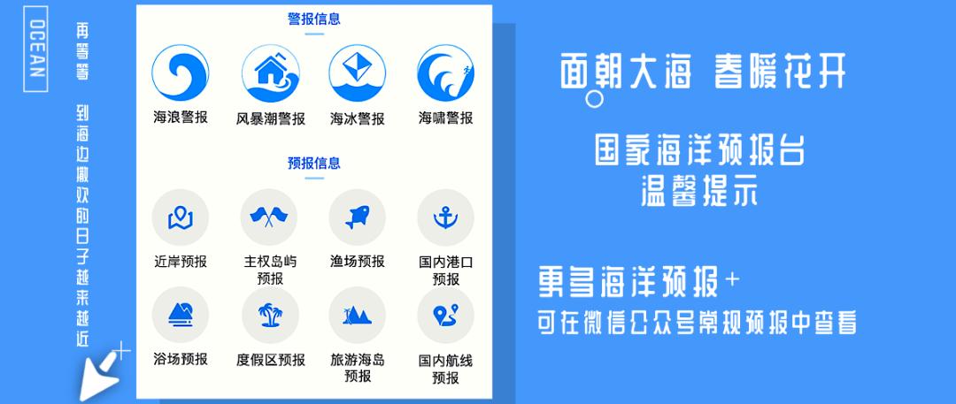 2020高校应届生看过来！小海苔期待和你做同事噢~