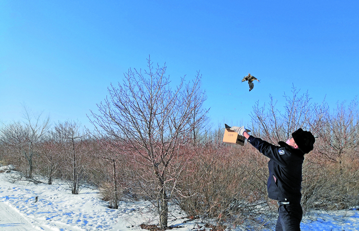 保护野生动物*疆新**森林公安在行动