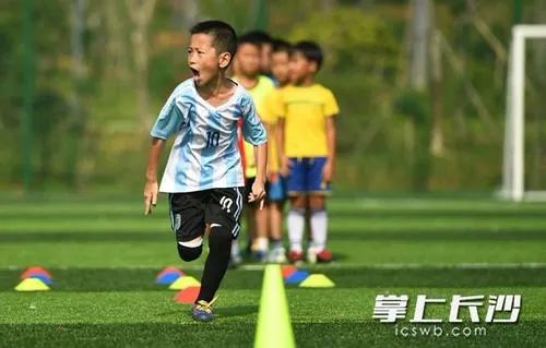 长沙县综合体,长沙体育馆建设